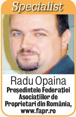 4466-273243-opaina.jpg