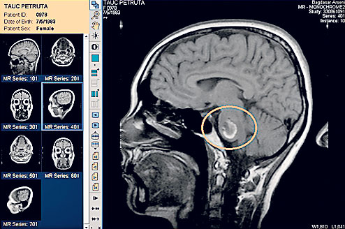 4469-274065-p2.jpg 4469-274065-p2.jpg
