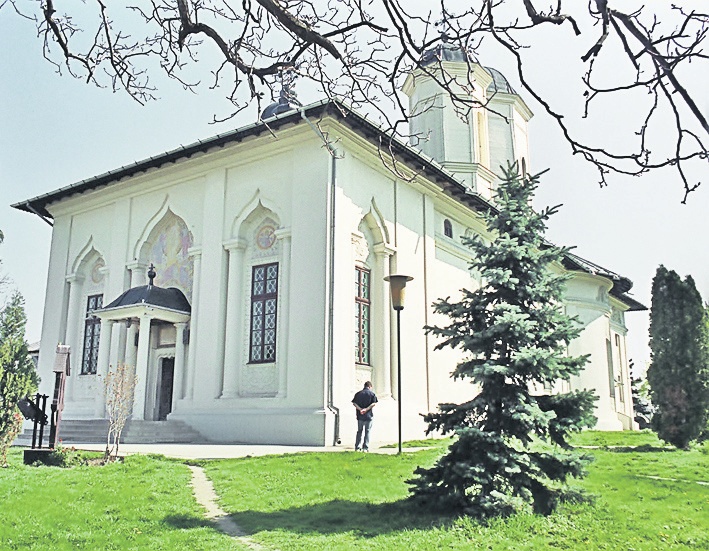 4477-276391-cernica.jpg 4477-276391-cernica.jpg