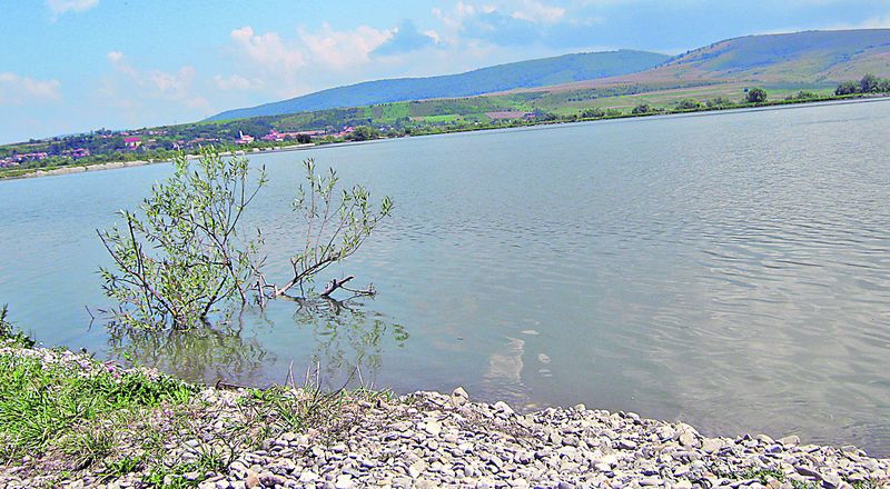 Pe balta 4, din complexul Doripesco, am prins o mulţime de crapi