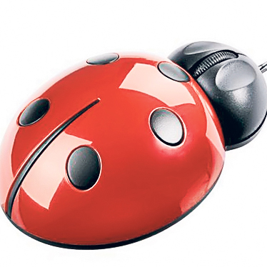 4484-278568-doamnemousebuburuza125leiusbmania.jpg 4484-278568-doamnemousebuburuza125leiusbmania.jpg