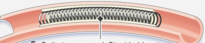 4489-280023-s1.jpg