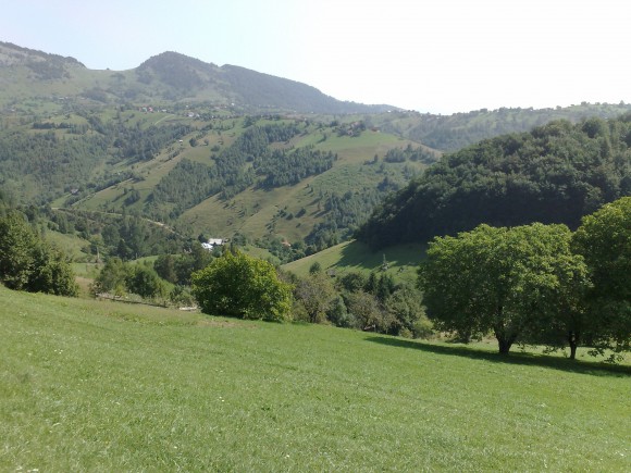 0-290561-11munte.jpg