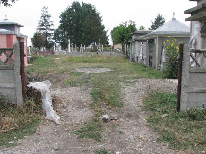 0-292630-cimitir_bradu.jpg
