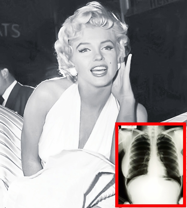 4521-288507-marylin.jpg 4521-288507-marylin.jpg