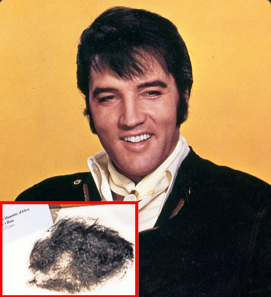 4521-288518-elvis.jpg 4521-288518-elvis.jpg