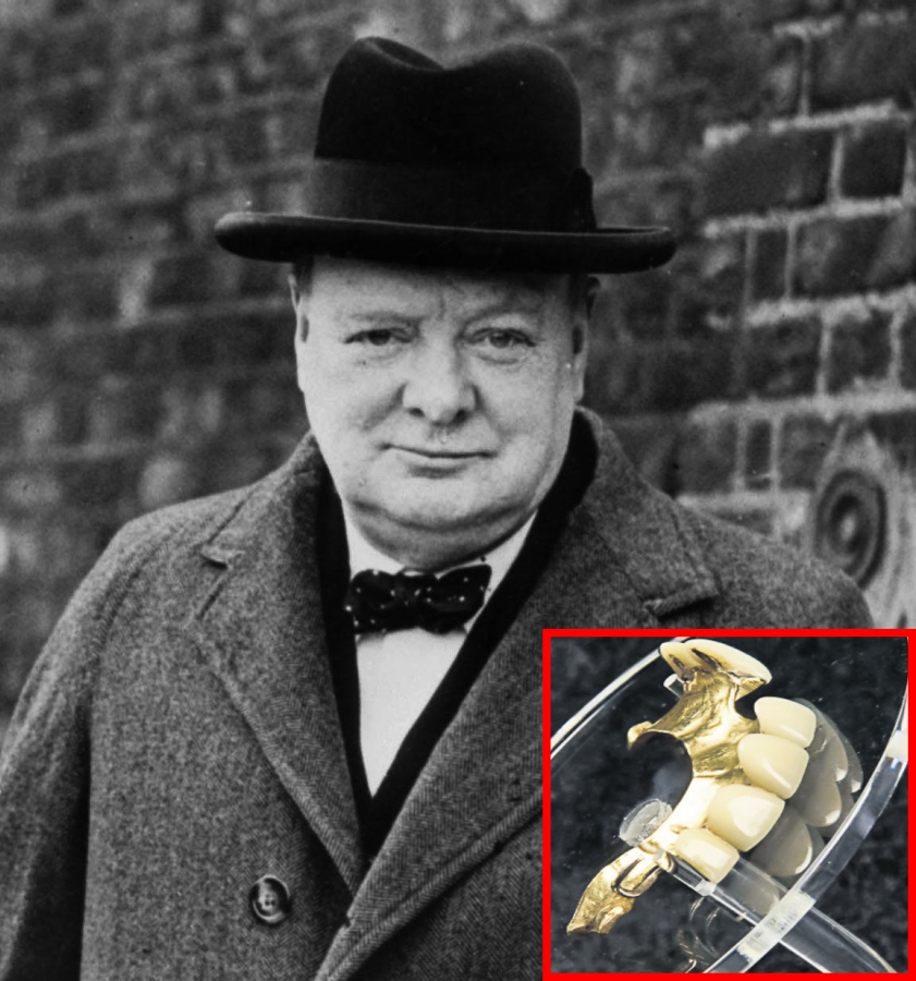 4521-288522-churchill.jpg 4521-288522-churchill.jpg