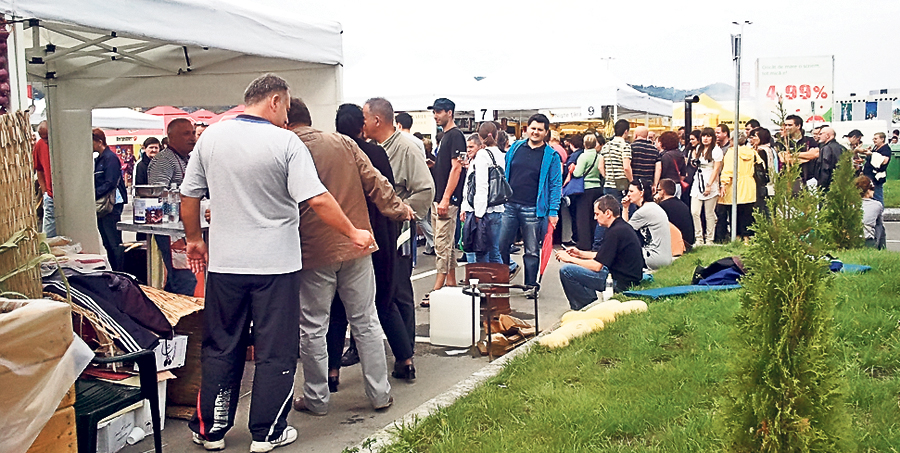 4528-290185-festival1.jpg