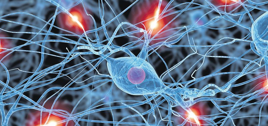 4542-294007-neuroni.jpg