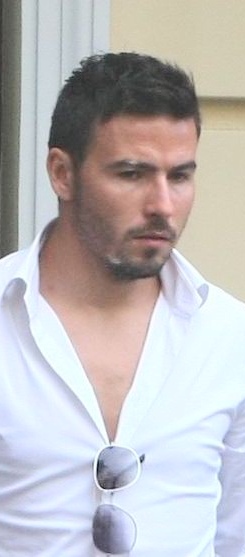 0-296533-cristea.jpg 0-296533-cristea.jpg