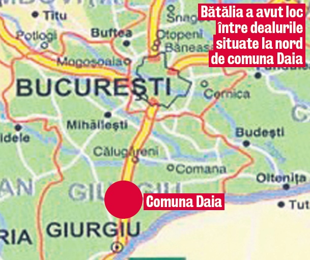 4548-295746-daia.jpg