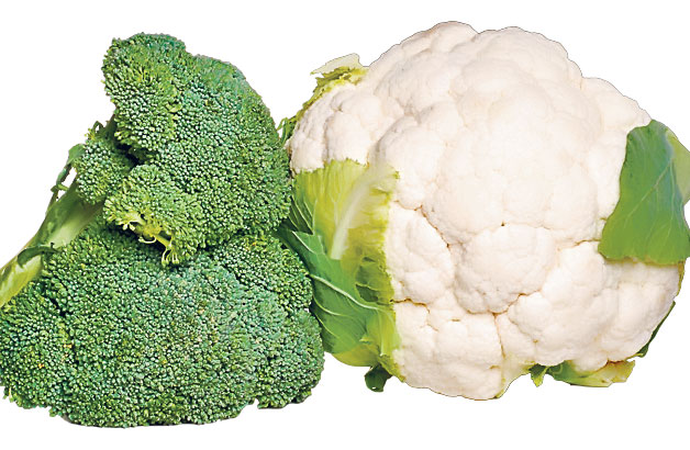 4549-295921-sanatatebroccoliconopidashutterstock_53121709.jpg