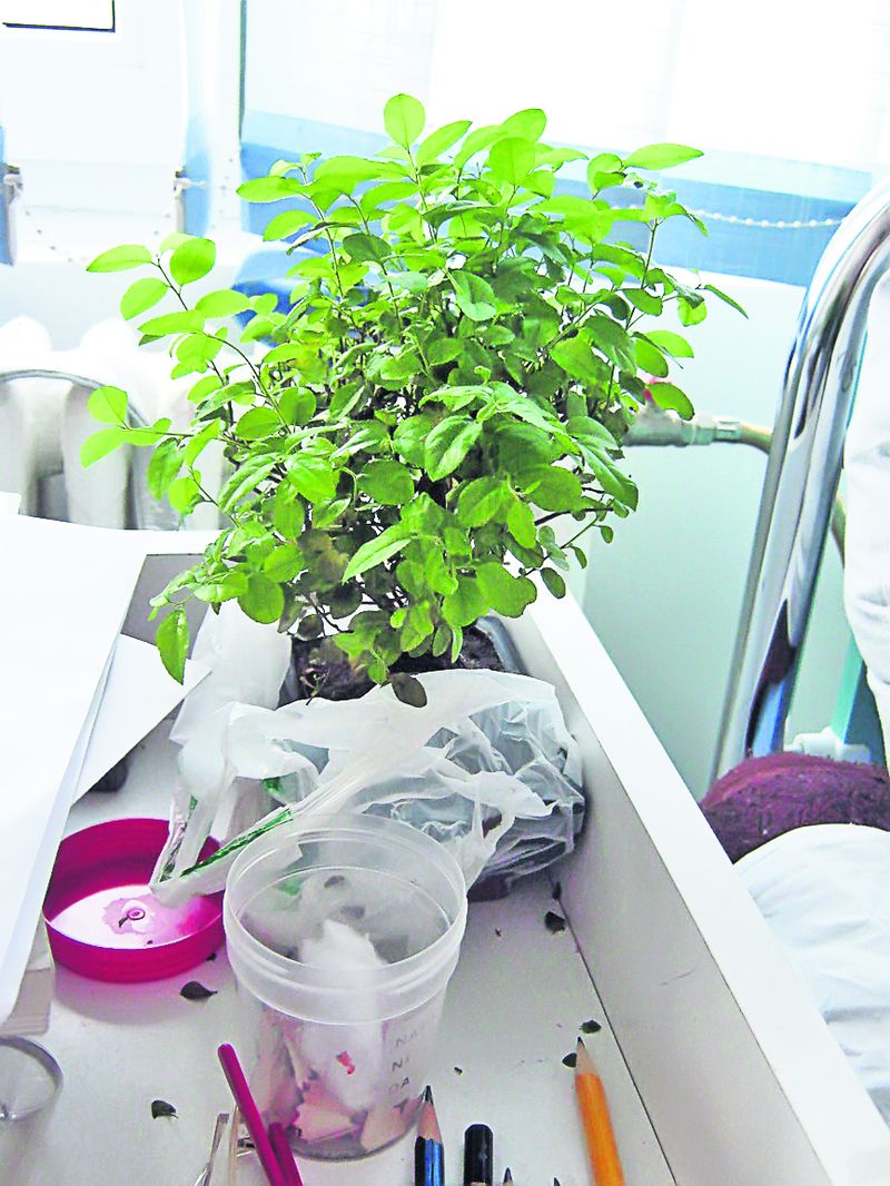 4559-298750-0203planta.jpg