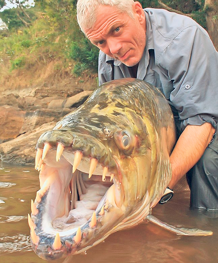4568-301017-piranha50dekg2.jpg