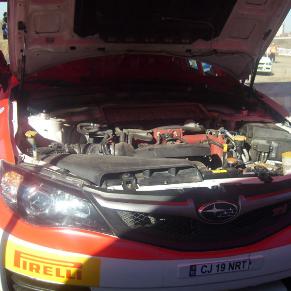 0-307566-6.jpg 0-307566-6.jpg