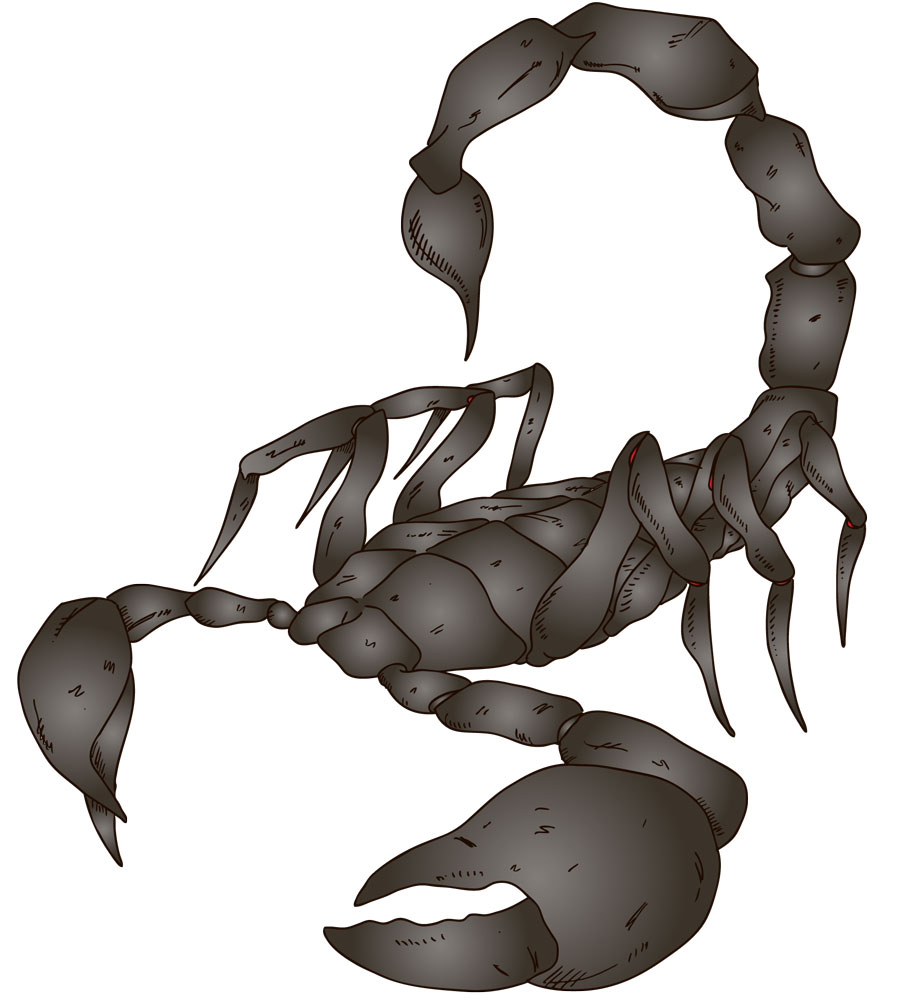 4581-304449-04scorpionzodiacshutterstock_42565786converted.jpg