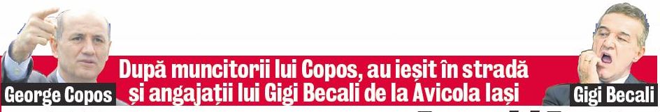 4589-306879-copos.jpg