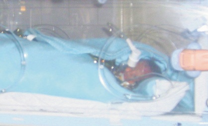 4600-309828-bebe1.jpg