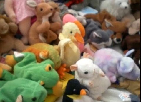 0-314339-beaniebabies.jpg