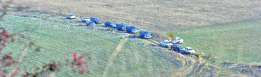 4622-315763-10cautari3.jpg