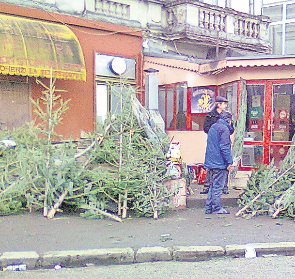 4632-319058-chiriugiu.jpg 4632-319058-chiriugiu.jpg
