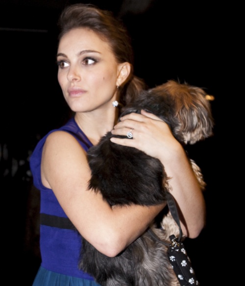 0-324443-natalie_portman.jpg