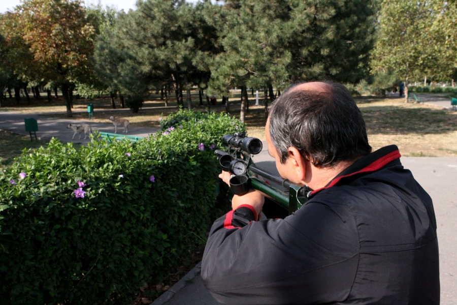 4637-320536-vlad1356.jpg 4637-320536-vlad1356.jpg