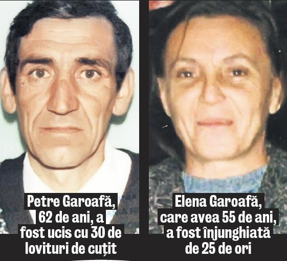4642-322280-familia_garoafa.jpg
