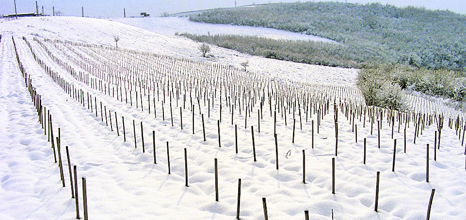 4660-327614-45viebutasifurati2.jpg 4660-327614-45viebutasifurati2.jpg