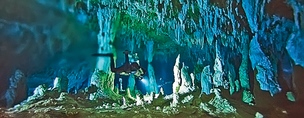 4686-336086-n1.jpg