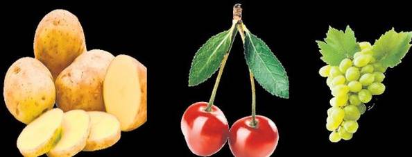 Căpșunele, bomba cu otrăvuri