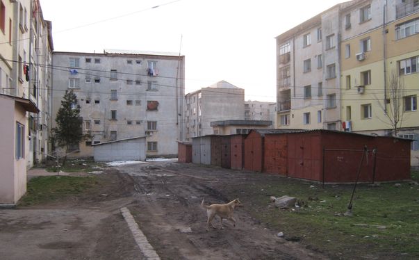 Fete sărace de la periferia Alexandriei, "marfă" pentru bordeluri ilegale din Anglia 