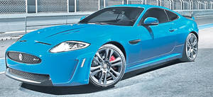 "Bestiile" şoselelor