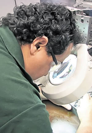 Exclusiv | Foto & Video | Libertatea a fost la uzina din Danemarca şi vă prezintă, în exclusivitate, procesul de producţie al jucăriilor Lego