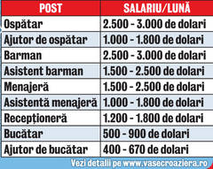 Iată ce lefuri sunt oferite pentru locurile de muncă de pe vapor