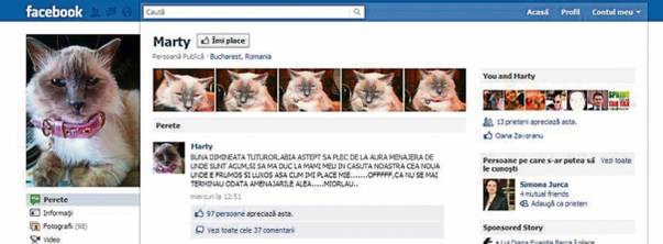 Oana, îl omori pe Marty!