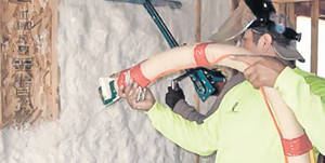 El e mielul care nu va fi tăiat de Paşte