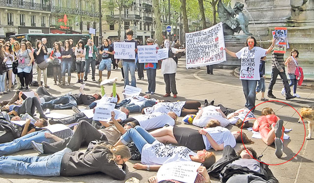 Proteste la Berlin şi la Paris: «Băsescu-Dracula, ucigaşul maidanezilor»