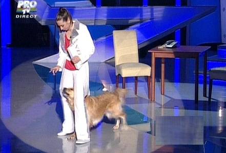 Video | ”Românii au talent” - Vezi concurenții din prima semifinală