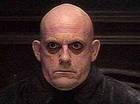 fester
