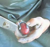 Numaidecât, potcoava e ataşată de oul roşu de Paşte