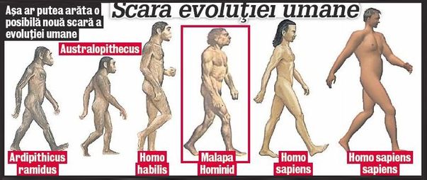 S-a descoperit o nouă specie umană