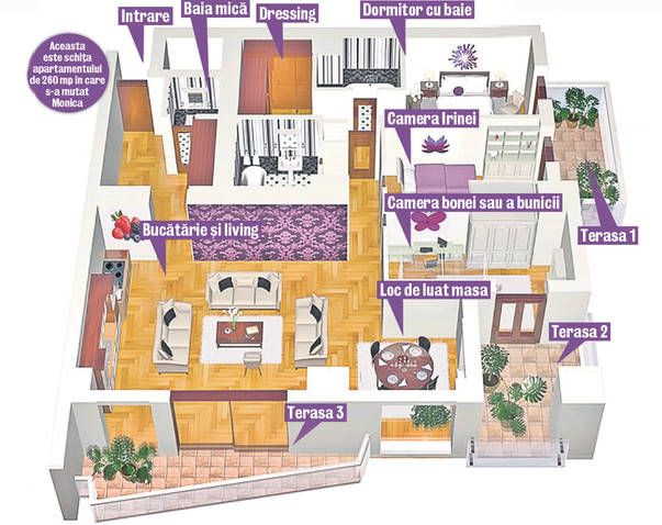 În ce lux stă Moni