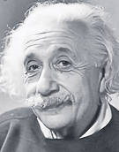 Dispar albinele, murim de foame! Lipsa acestor insecte ne poate lăsa fără mâncare