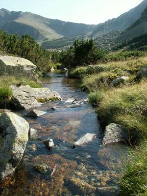 UPDATE: Imagini șocante cu avionul prăbușit la Deva