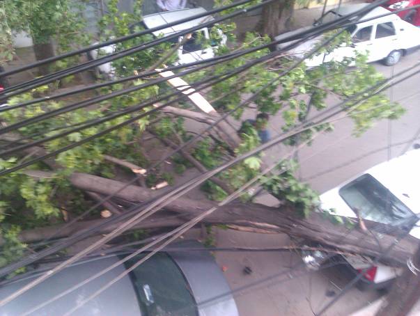 Ce furtună puternică a lovit Bucureștiul!