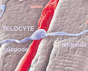 Românii au superinvenţii, dar statul nu dă doi bani pe ele!