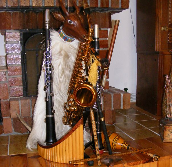 Acestea sunt instrumentele la care știe să cânte Leonard Lamă