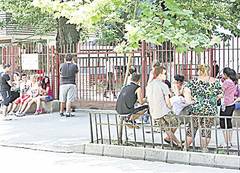 "Mi-au dat 5 sutimi şi am luat Bac-ul!"