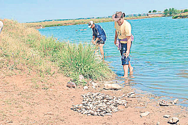 După caniculă, i-au lovit inundaţiile!
